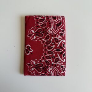 Protège passeport Rouge / fuchsia